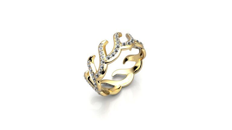BAGUE RENDU 1